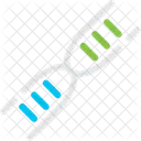 Dna Genetic Code Icon