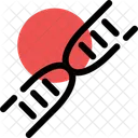 Dna Genetic Code Icon