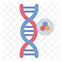 Dna  Icon