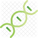 Dna Genetics Genetic Icon