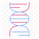 Dna Genetics Human Icon