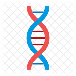 Dna  Icon