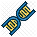 DNA Genetisch Chromosom Symbol