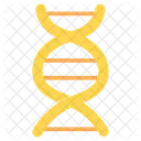 DNA Desoxyribonukleinsaure Nukleinsaure Symbol