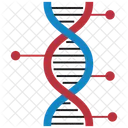 DNA  Icon