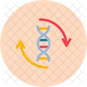 DNA  Symbol