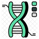 DNA Desoxyribonukleinsaure DNA Strang Symbol
