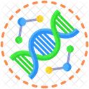Dna  Icon