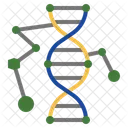 DNA 매칭 유전학 DNA 아이콘