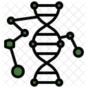 Dna Matching  Icon