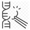 DNA Molecul  Icon
