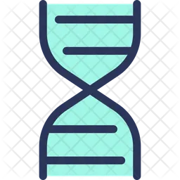 DNA molecule  Icon