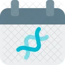 Dna Schedule  Icon