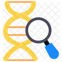 Dna Search Dna Gene Icon