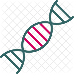 Dna Sequence  Icon