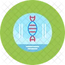 Dna Strand Dna Strand Icon