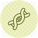 Dna Strand Genetics Icon