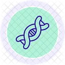 Dna Strand Genetics Icon