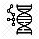 Dna Strand Genetics Science Icon