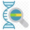 Dna Structure Base Icon