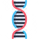 DNA Structure  Icon