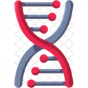DNA Structure  Icon