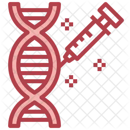 Dna Structure  Icon