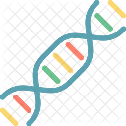 Dna Structure  Icon