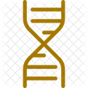 Dna Structure Genetics Icon