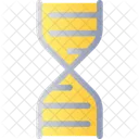 Dna Structure Genetics Icon