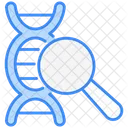 Dna Structure Icon