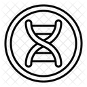 Dna Structure  Icon