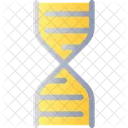 Dna Structure Genetics Icon