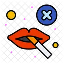 Do Not Smoke  Icon