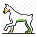 Doberman Dog Breed Icon