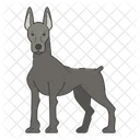 Doberman Dog Puppy Icon