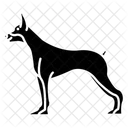 Doberman  Ícone