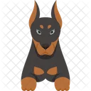 Pinscher doberman  Ícone