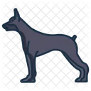 Dobermann  Symbol