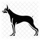 Dobermann  Symbol