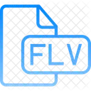 Document File Flv Icon