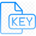 Document File Key Icon