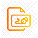 Document  Icon