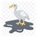 Dodo  Symbol