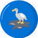 Dodo  Symbol