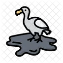 Dodo  Icon