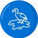 Dodo  Icon