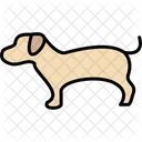 Dog Pet Animal Icon