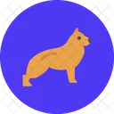 Dog Pet Animal Icon