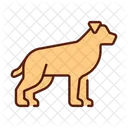 Dog Pet Animal Icon